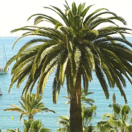 Proche Clim Et Parking 公寓